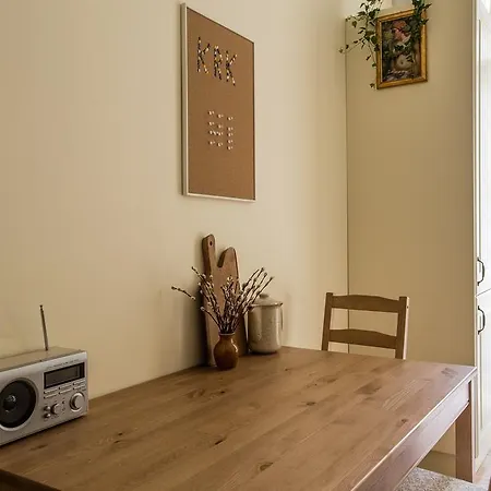 Cracow Girl Spacious In The City Center Krakov